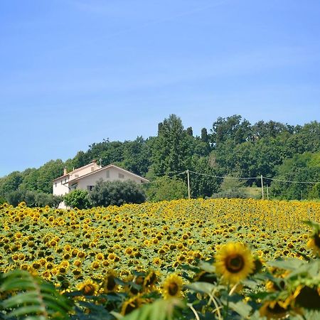 Le Piume B&B Купрамонтана Екстер'єр фото